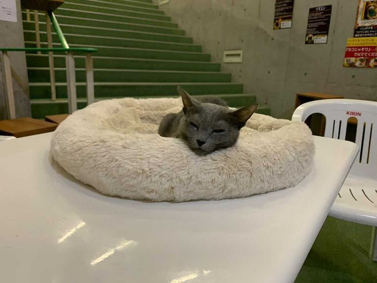 ma.ri7072さんの写真 / 2