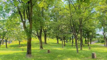 観光スポット / 11