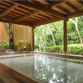 森の絶景露天風呂 熱海 森の温泉ホテル(静岡県 リゾートホテル) / 4