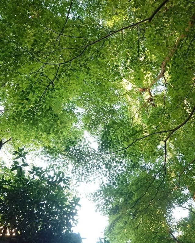 usakonchanさんの写真 / 1