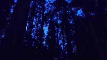 施設の正面 (日没後) / 2