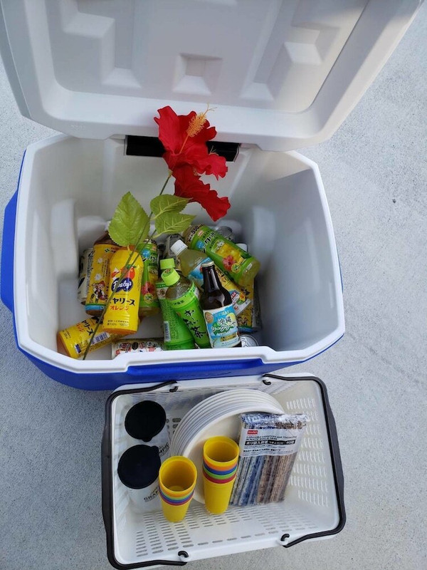 客室の設備とサービス