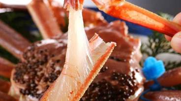 食事・飲み物 / 7