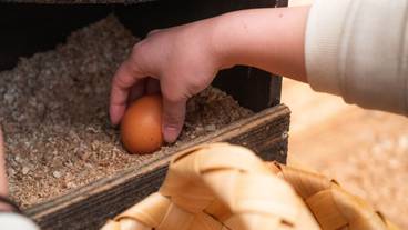 子供向けアクティビティ / 2