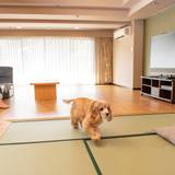 伊東温泉　ウェルネスの森　伊東（イトウオンセン　ウェルネスノモリ　イトウ） / 6
