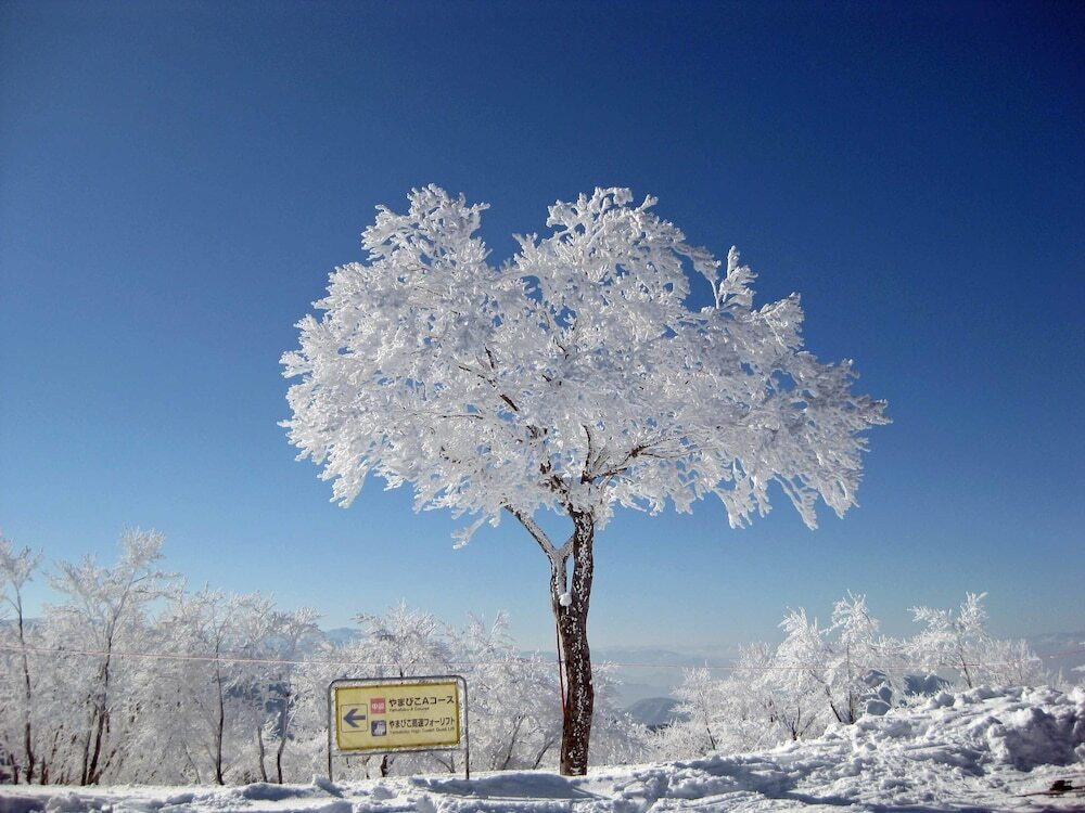 スノー スポーツとスキー