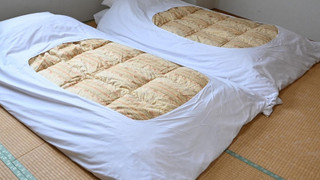 和室 8畳 (バス無し)