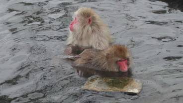 施設の敷地 / 13