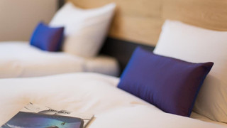 スーペリアニセコルーム (中階、シャワー付き、エアコンなし / 扇風機のみ) 禁煙