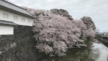 観光スポット / 16