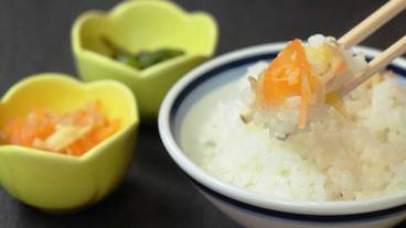 食事・飲み物 / 21