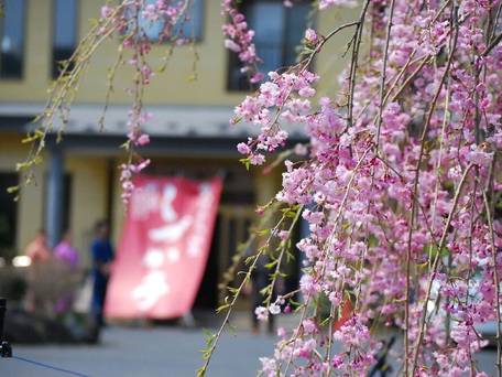奥州平泉温泉 そば庵 しづか亭 / 3
