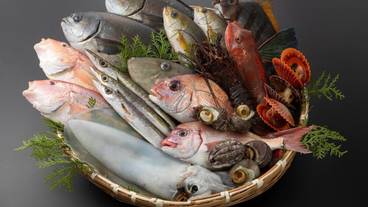 食事・飲み物 / 4