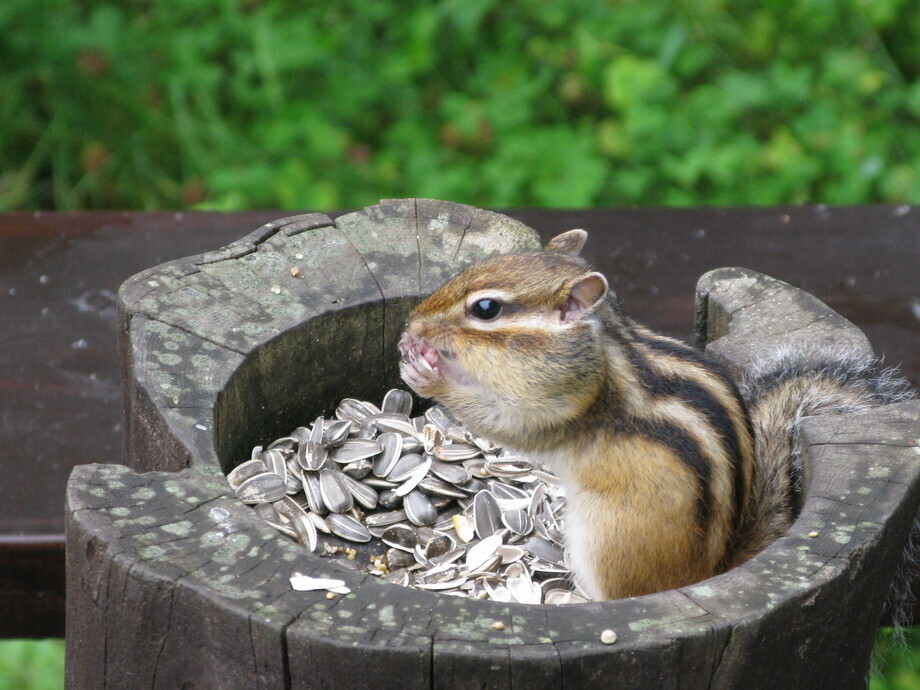 ホテル周辺の風景①