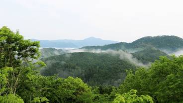 マウンテン ビュー / 28