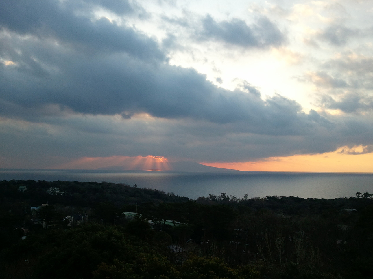 「レジーナリゾート伊豆 無鄰」 その他 23620514 