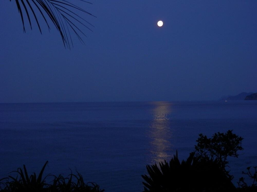 施設からの眺望