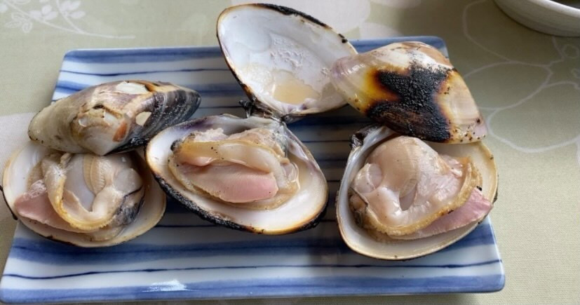 ponkichi_daruさんの写真 / 1