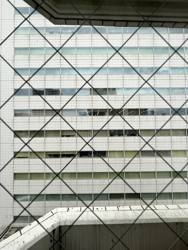 隣のビルが見えます