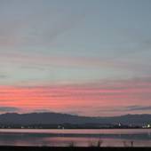 ホテル琵琶湖プラザ(BBHホテルグループ)(滋賀県 ビジネスホテル) / 4