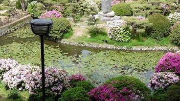 観光スポット / 4