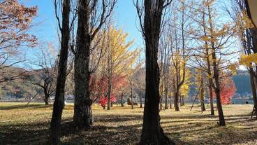 ランド ビュー / 14