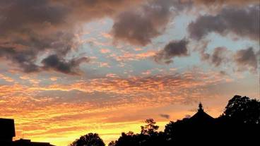 施設からの眺望 / 19