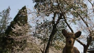 施設の敷地 / 18