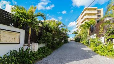 メイン イメージ / 1