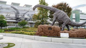 シティ ビュー / 18