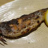 炉ばた 浜っ子(ロバタハマッコ)