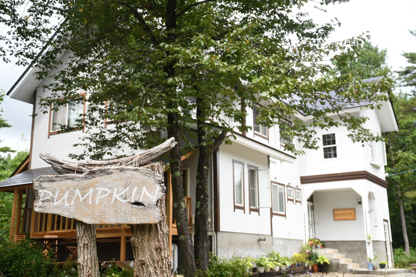 自然食宿で味わえる家庭的なマクロビオティック料理にほっこり3483974