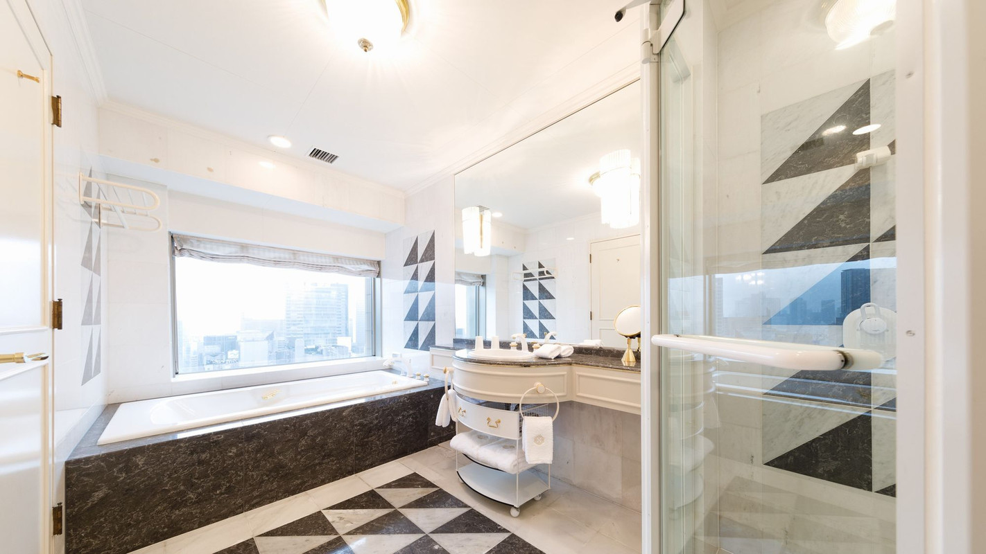 第一ホテル東京（ダイイチホテルトウキョウ） / 11