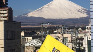 和室アパートメント D (6畳和室 14畳リビング501室 / ペット同宿可)