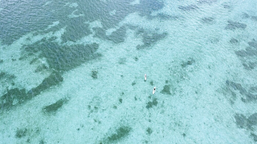 サーフィン / ボディボード