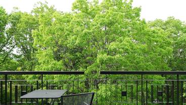 部屋からの景観 / 33