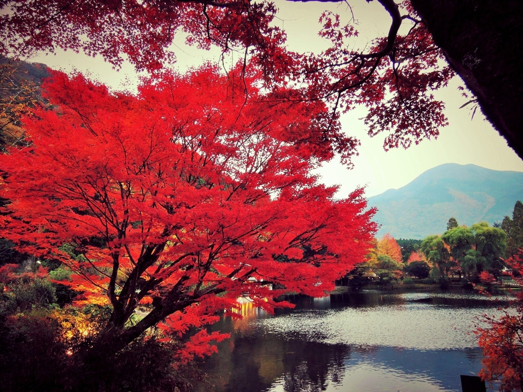 宿の周りは自然豊かな観光スポット3957151