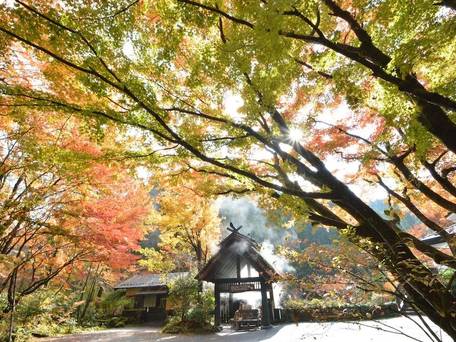 黒川温泉 旅館 奥の湯 / 3