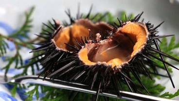 レストラン / 29