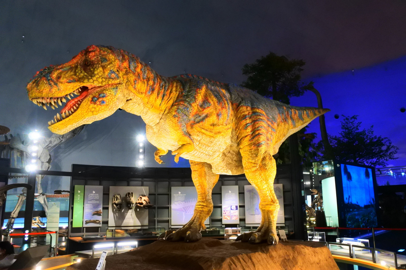 恐竜博物館のティラノサウルス