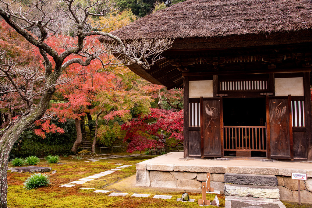 長寿寺2478609