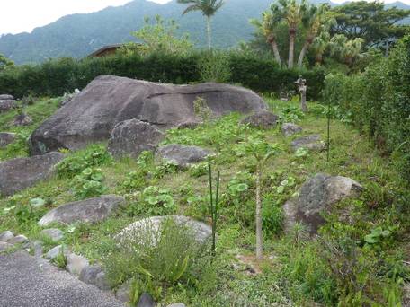 宿 天豆（sora mame） / 4