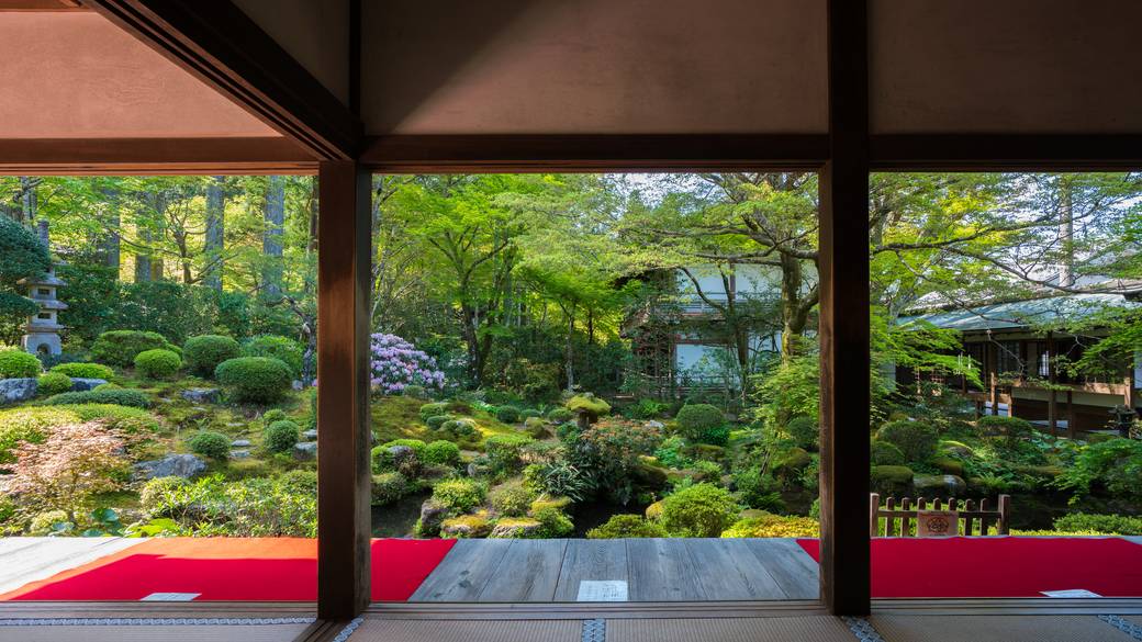 美しい庭園に心洗われる
大原「三千院」 / 1