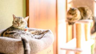 施設内の設備 / 9