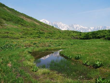 白馬姫川温泉なごみの湯 ホテルアベスト白馬リゾート / 4