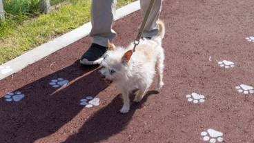 ペット用設備・サービス / 6