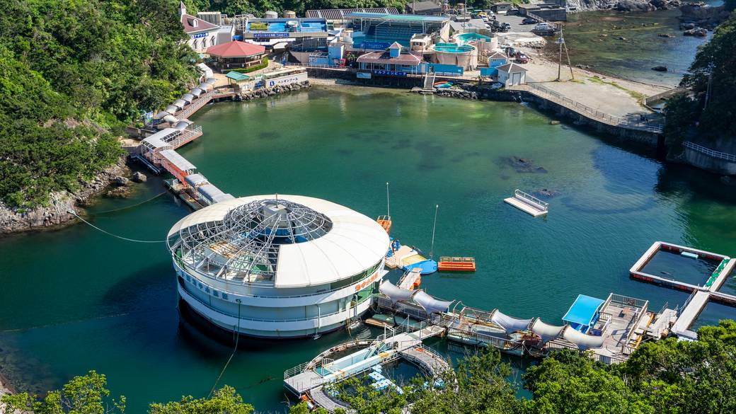 下田海中水族館① / 3
