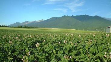 施設からの眺望 / 21