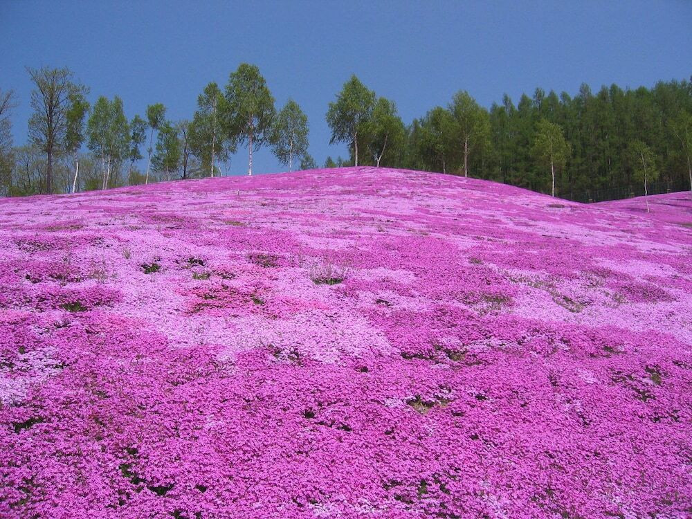 施設からの眺望