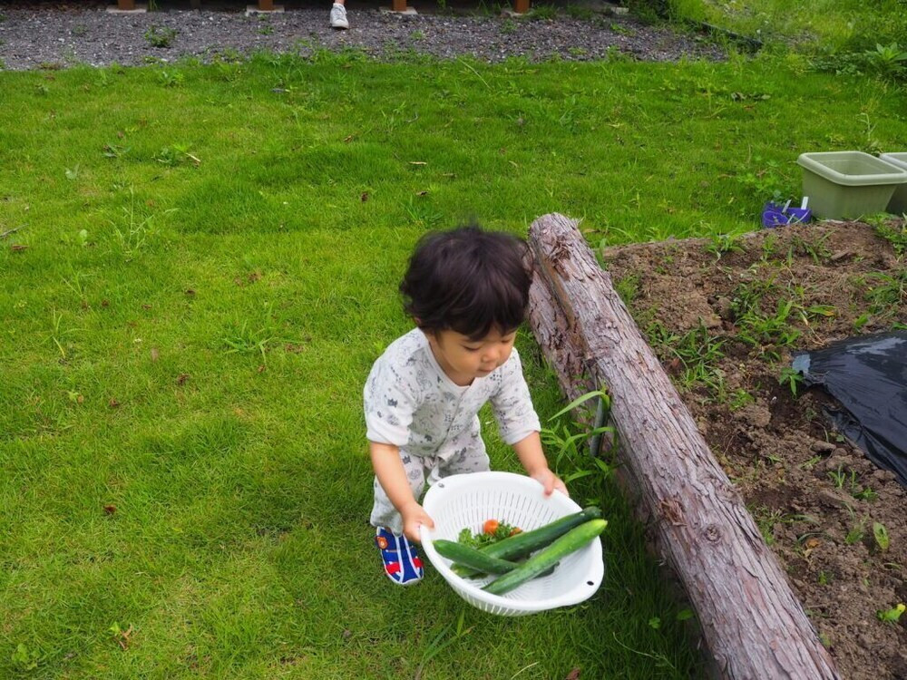 テラス / パティオ